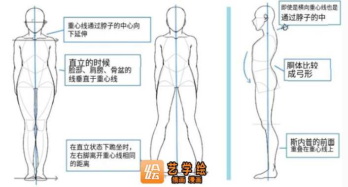 准确找到人体重心线设计
