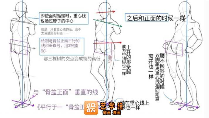准确找到人体重心线设计
