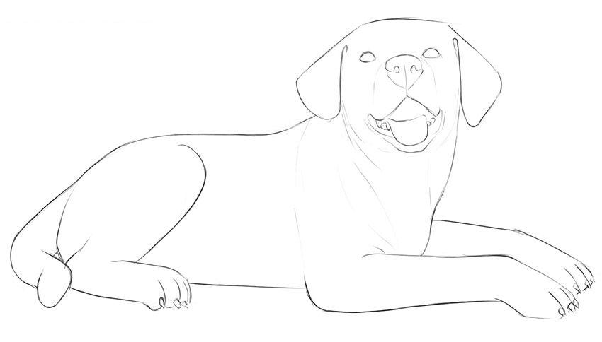如何简单地画一只躺着的狗