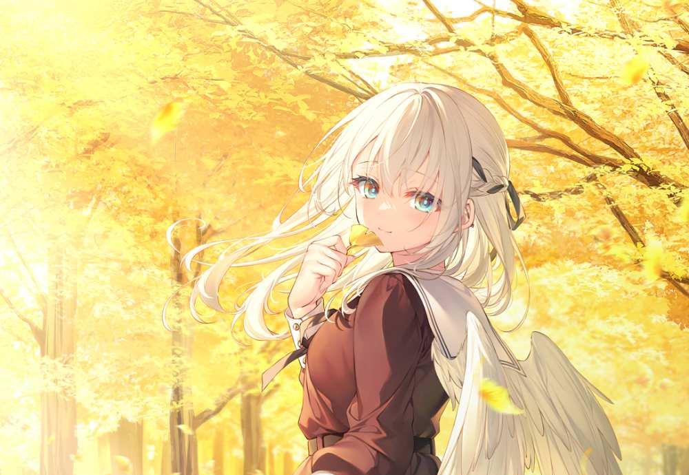 怎样画飞机？简单飞机的画法