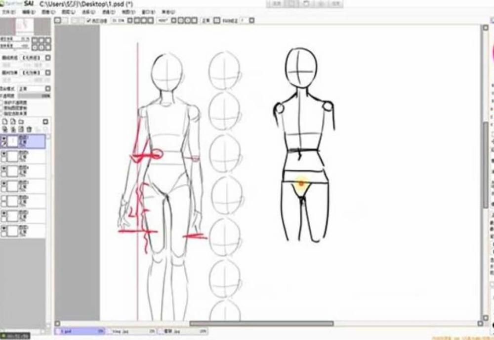 SAI人体结构绘画基础共8集高清视频教程